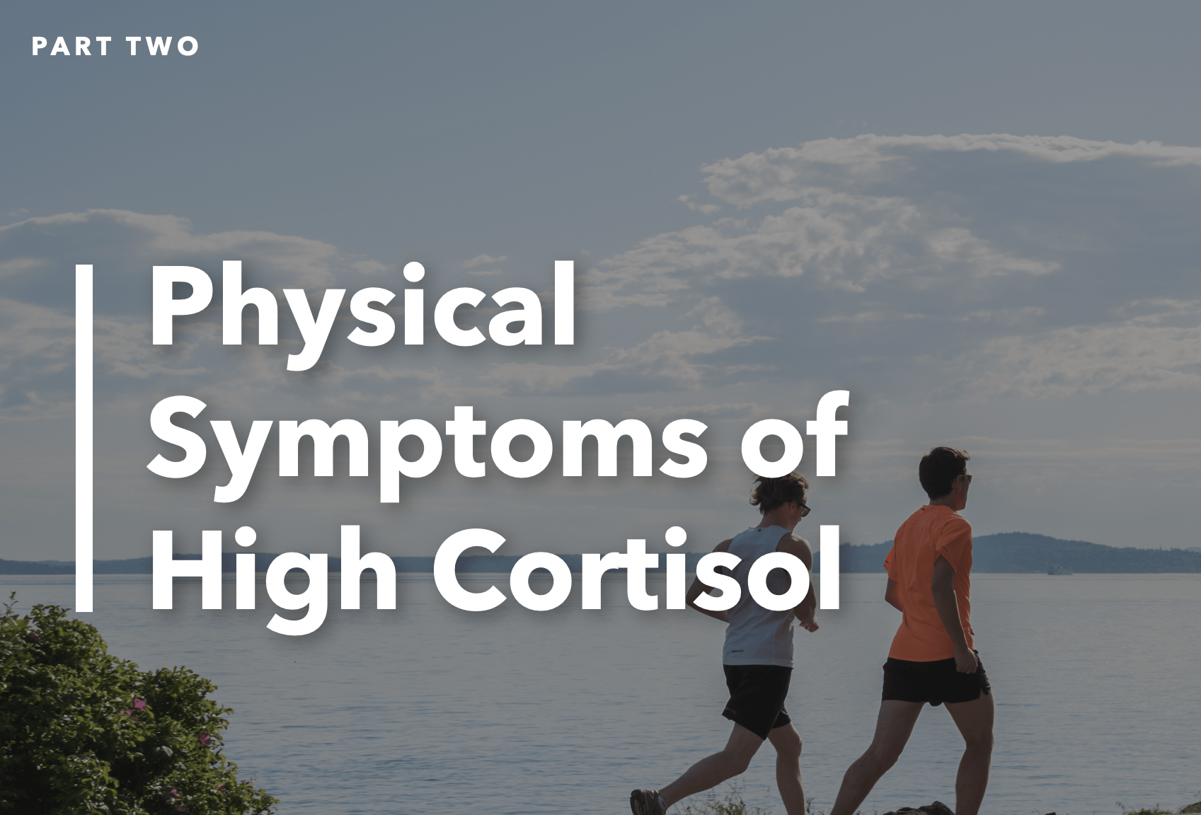 Blog Post High Cortisol